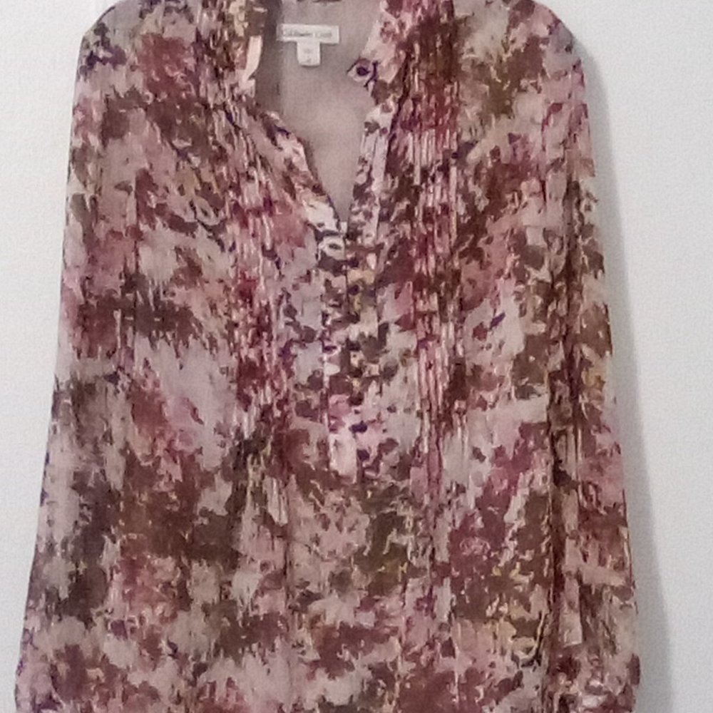 Romantic Sheer Blouse